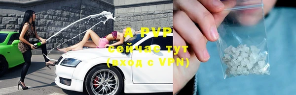 стаф Абинск