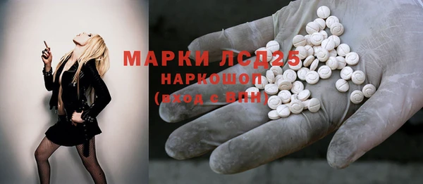 стаф Абинск