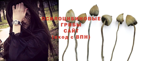 метадон Абаза