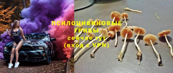 стаф Абинск