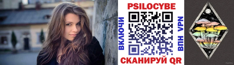 где купить наркотик  Каменногорск  Галлюциногенные грибы прущие грибы 