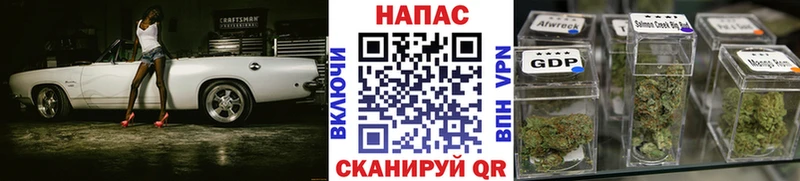 дарк нет Telegram  Каменногорск  Канабис планчик 